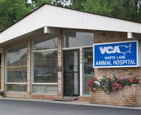 <b>VCA</b> Centreville <b>Animal Hospital</b> provides primary <b>veterinary</b> care for your pets. . Vca pet hospital